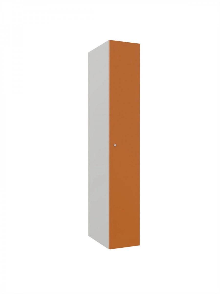 Metallschrank mit LPW – Combo
