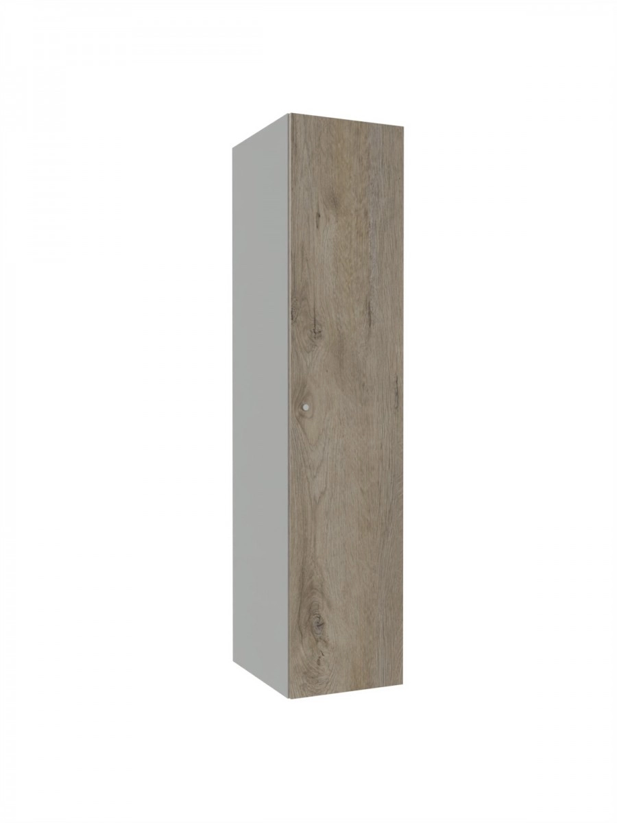 Metallschrank mit LPW – Combo